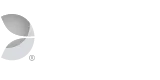Evolution Gaming