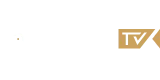 HollywoodTV